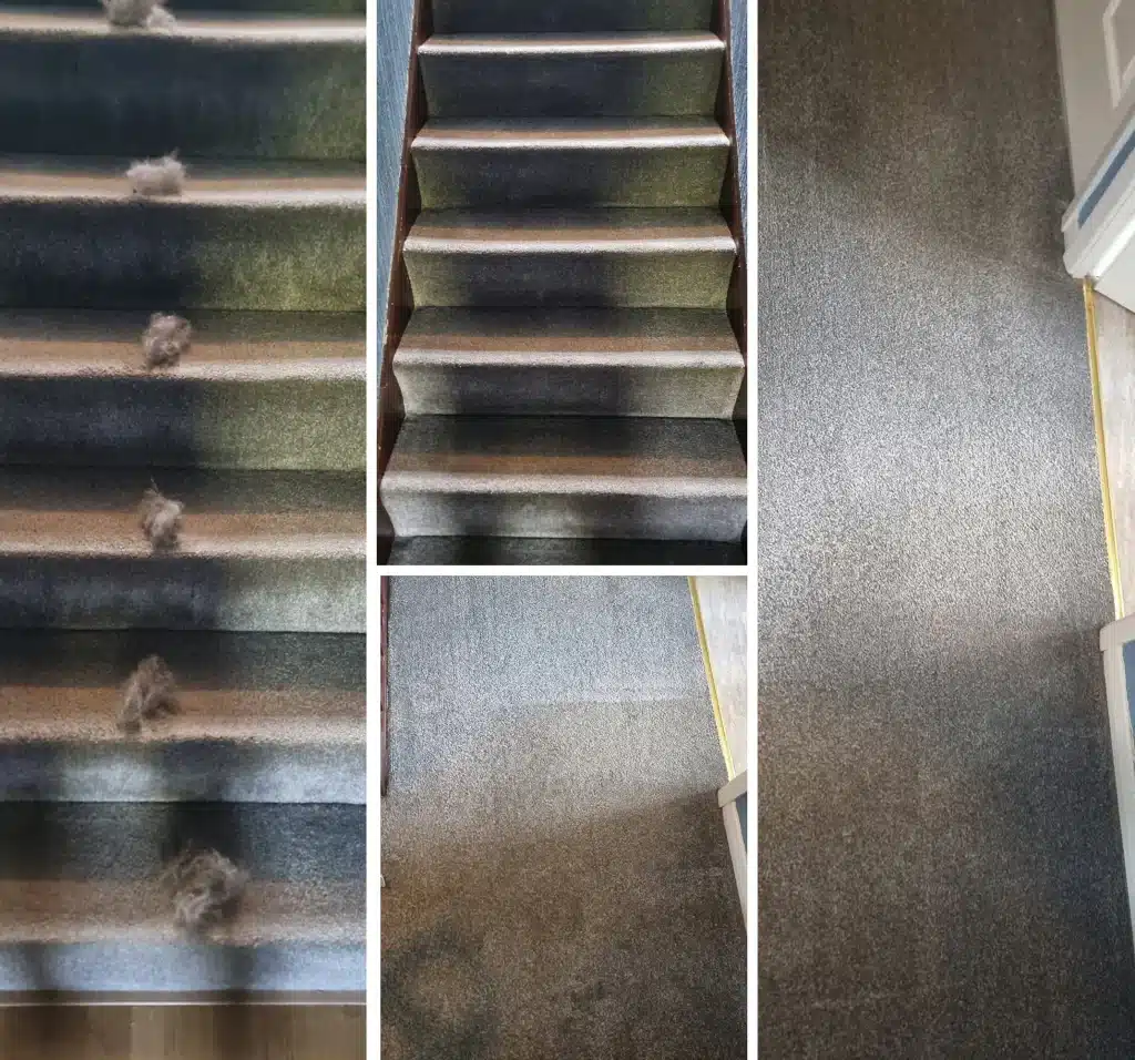 Professional Pet hair removal, Dog hair removal, Cat hair removal, Pet hair removal Manchester