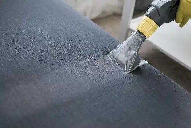 Professional Carpet Cleaning, Professional Upholstery Cleaning, Certified Carpet Cleaning Expert, Eco-Friendly Carpet Cleaning