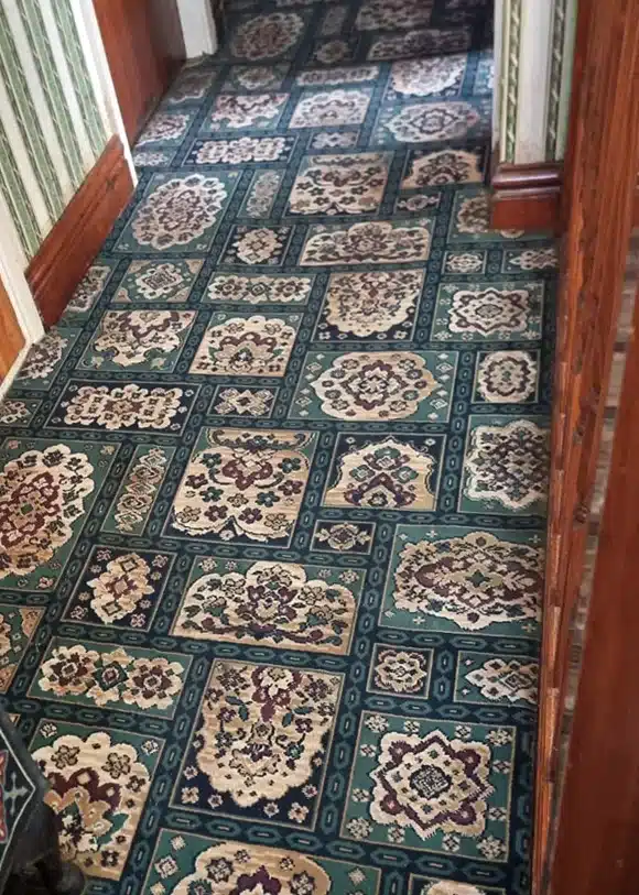 Professional Carpet Cleaning, Professional Upholstery Cleaning , Certified Carpet Cleaning Expert, Eco-Friendly Carpet Cleaning