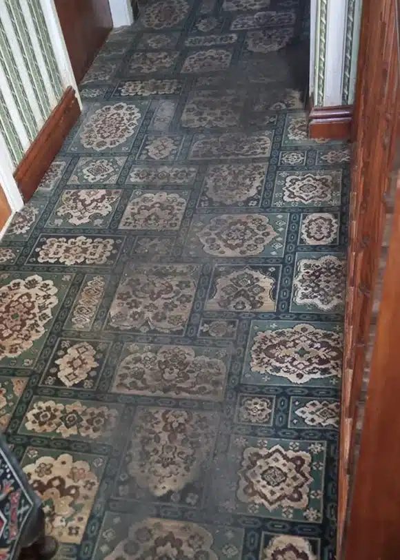 Professional Carpet Cleaning, Professional Upholstery Cleaning , Certified Carpet Cleaning Expert, Eco-Friendly Carpet Cleaning