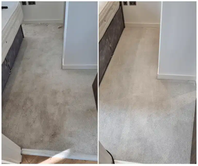 Professional Carpet Cleaning, Indoor Air Quality, Carpet Deep Clean, Allergy Relief