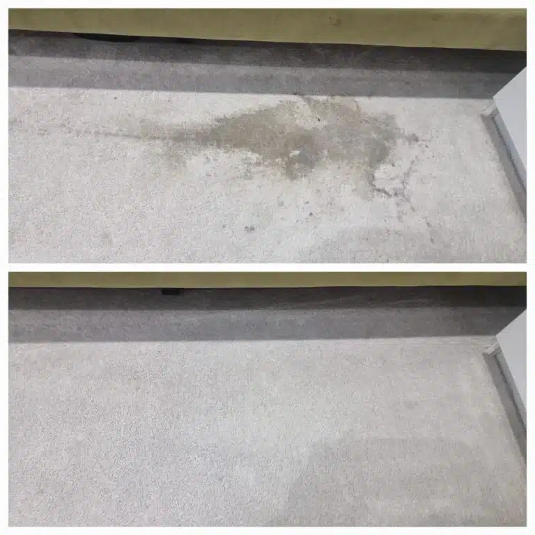 Remove Coffee Stains, Coffee stains cleaning tips, Dealing with coffee stains, Effective cleaning methods, Stubborn coffee stains