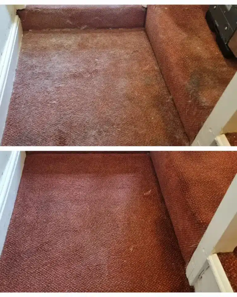 Pet-friendly carpet care, Pet odour neutralisation, Pet hair removal, DIY pet stain removal, Carpet cleaning tips