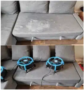 DIY vs Professional Upholstery Cleaning, Best Upholstery Cleaner Manchester, Cost-Effective Upholstery Cleaning, Professional Upholstery Cleaning, Eco-Friendly Upholstery Cleaning