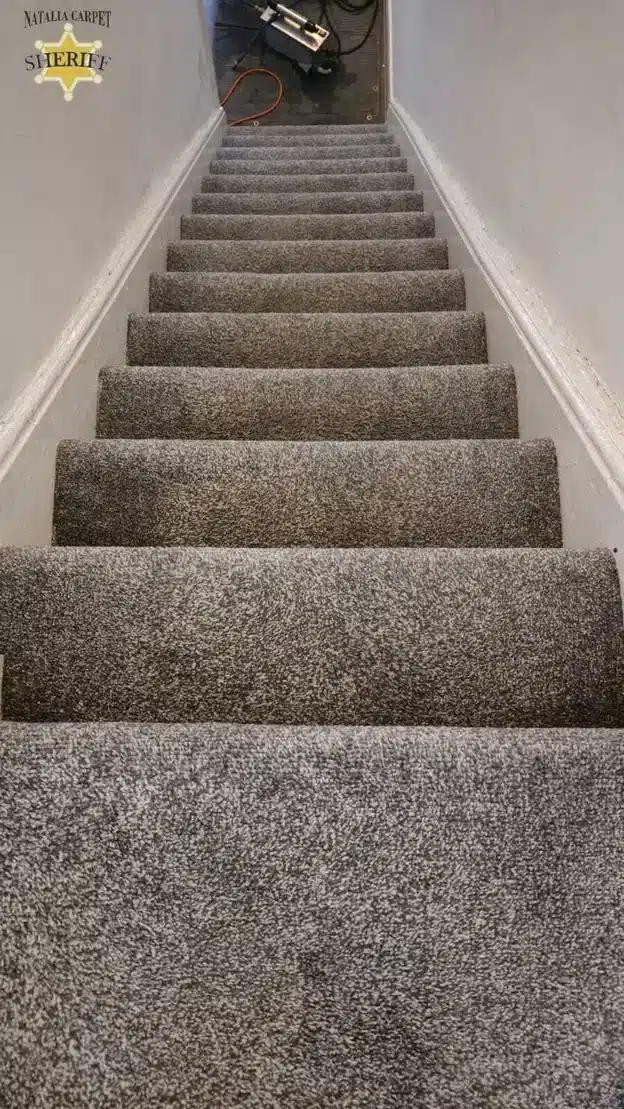 Steam carpet cleaning, Partington, Carpet Cleaning Services