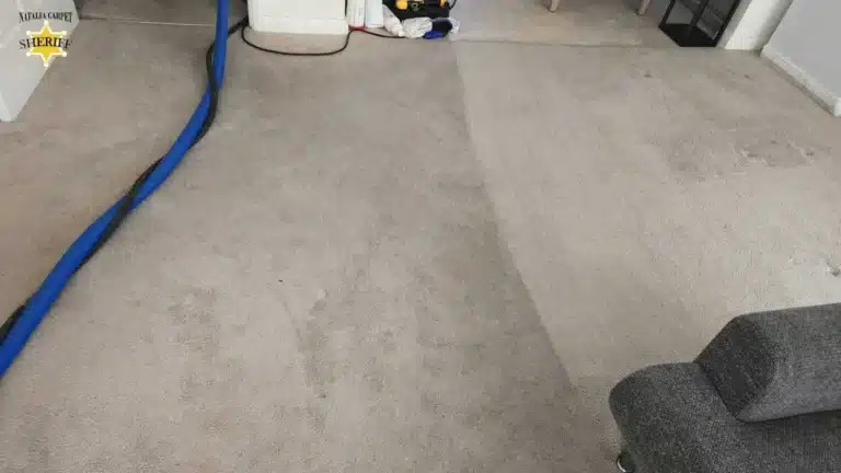 Best Carpet Cleaner