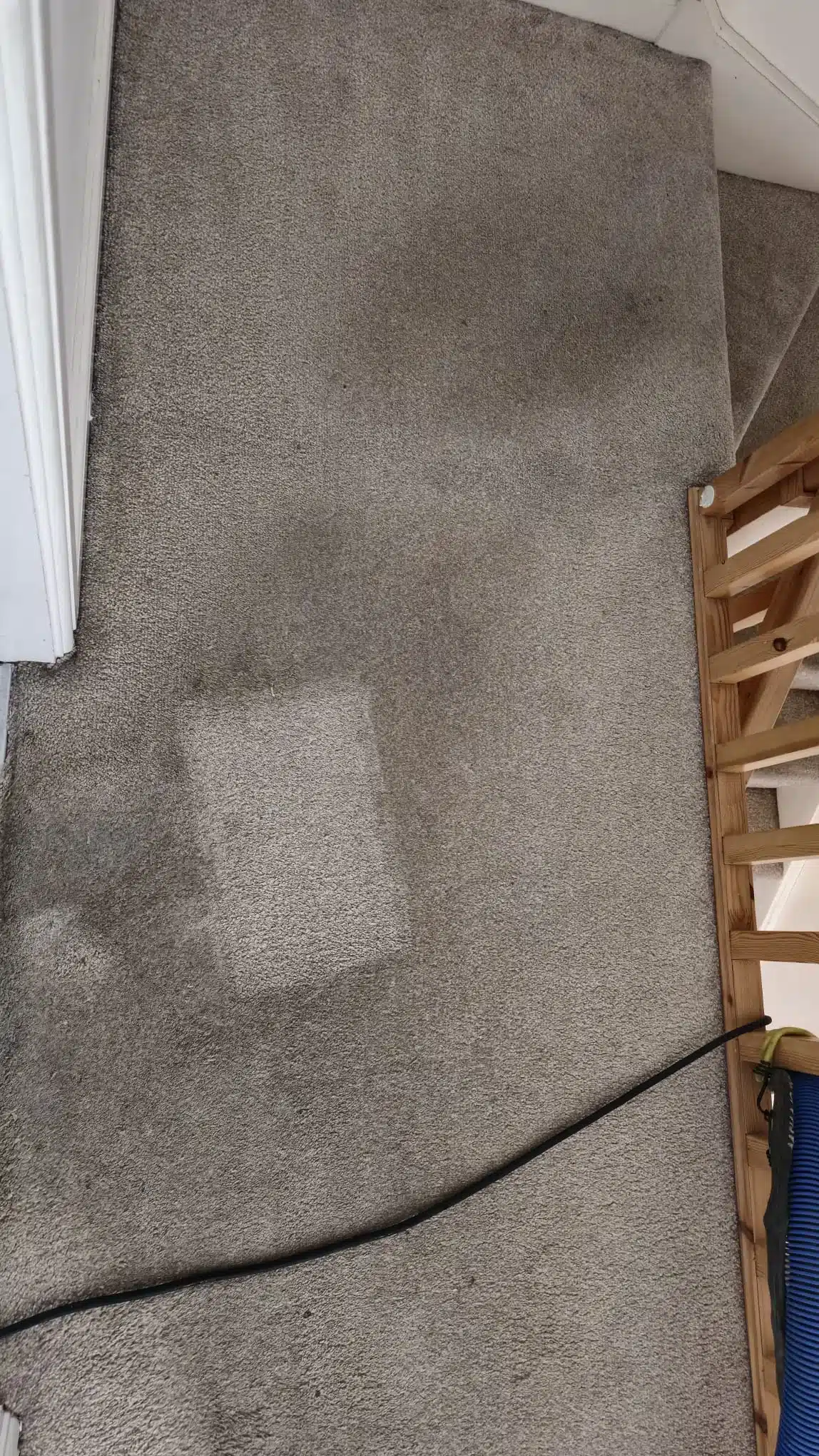 Pet Stain Removal Withington, Steam carpet cleaning