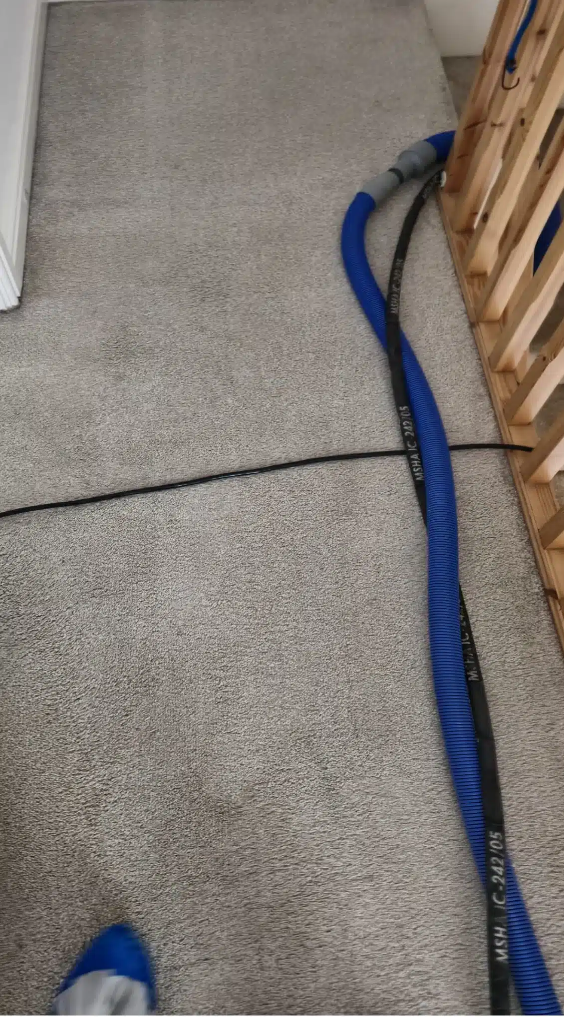 Pet Stain Removal Withington, Steam carpet cleaning