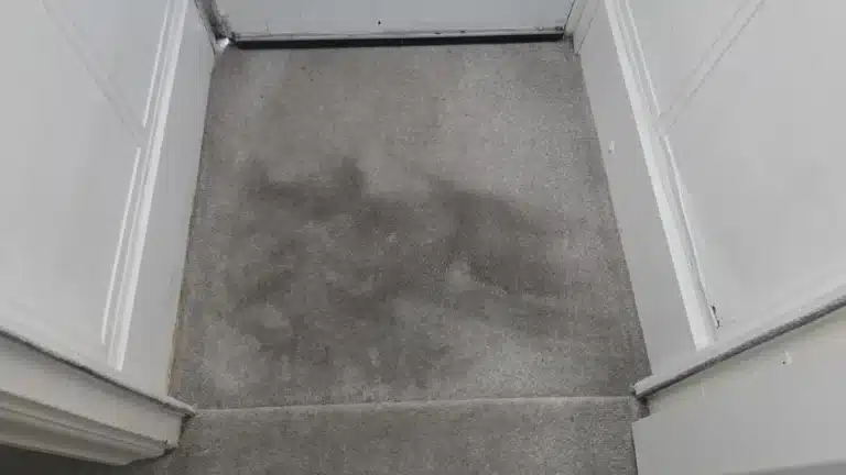 End-of-Tenancy Carpet Cleaning