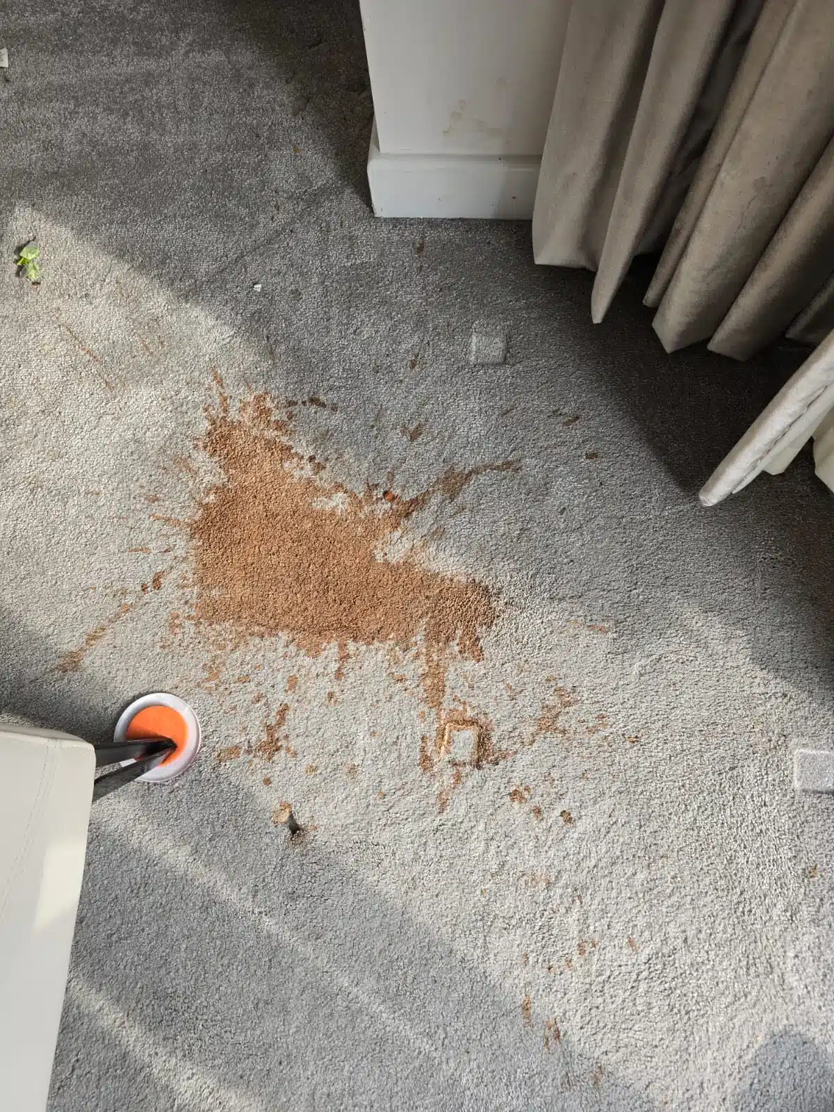 Carpet Cleaners Westhoughton, Steam cleaning, Local, Stain Removal